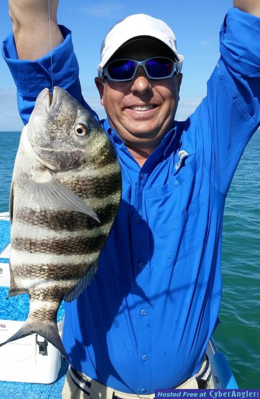 Sheepshead_1