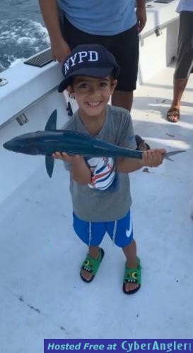 Click to Enlarge Photo