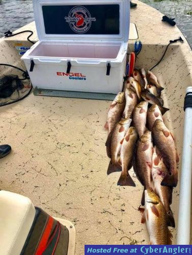 Whiskey_Bayou_Charters___Redfish_in_the_Marsh___Fishing_Report___4