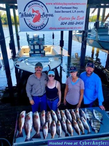 Whiskey_Bayou_Charters___Redfish_in_the_Marsh___Fishing_Report___2