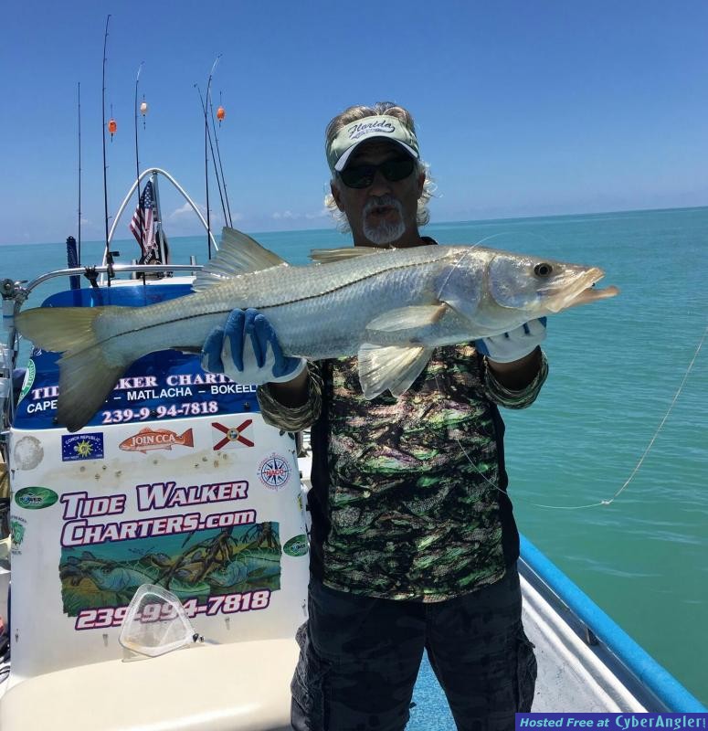 Reef_Snook