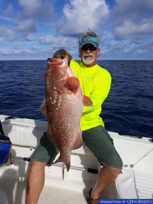 Russbestredgrouper