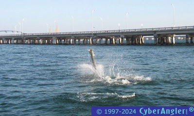 Click to Enlarge Photo