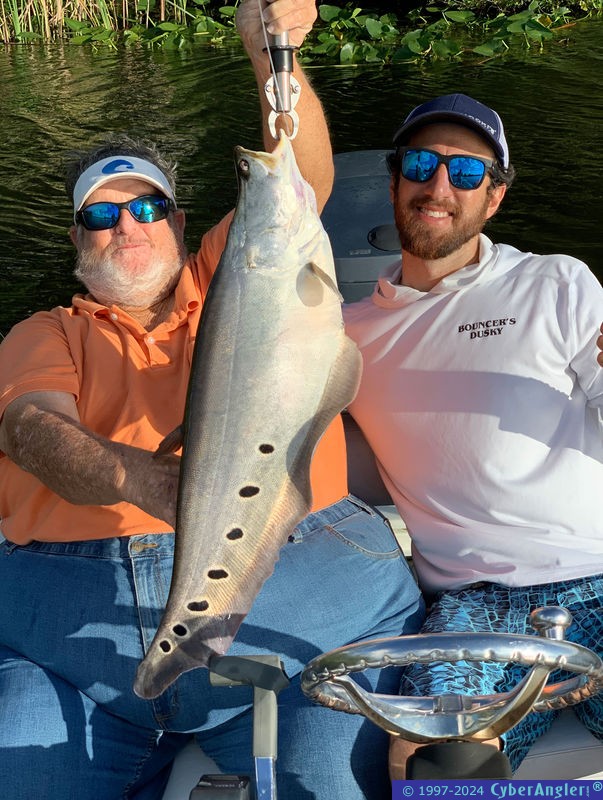 Click to Enlarge Photo