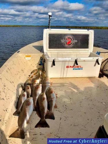 Whiskey_Bayou_Charters_Catching_Redfish_in_Delacroix_LA_2