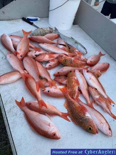 Click to Enlarge Photo