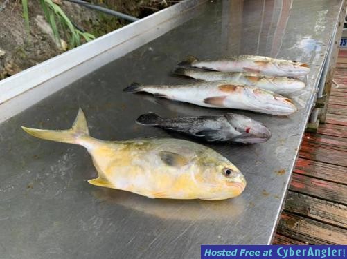 Crystal_River_Fishing_Report_Florida_Homosassa_Yankeetown_homosassa_Cedar_K
