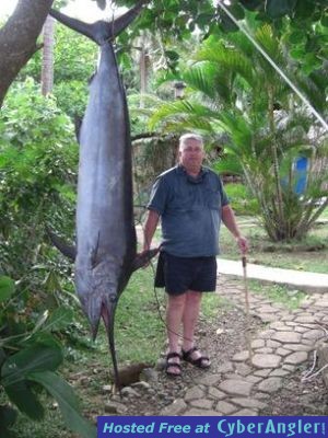 Black marlin in Fiji