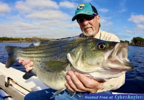 Click to Enlarge Photo