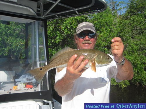 24 inch redfish released