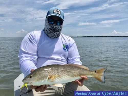 Click to Enlarge Photo