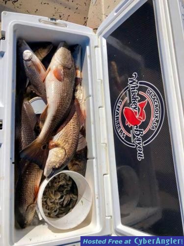 Whiskey_Bayou_Charters___Fishing_Report___Redfish_in_the_Cold___4