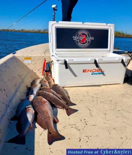 Whiskey_Bayou_Charters___Fishing_Report___Redfish_in_the_Cold___3