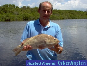 21 inch red grouper
