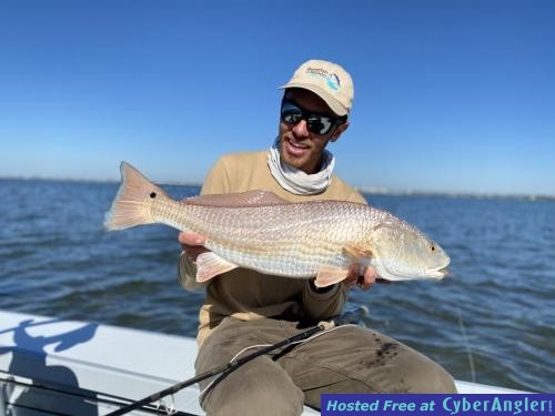 Redfish_on_Fly_Tampa_Bay