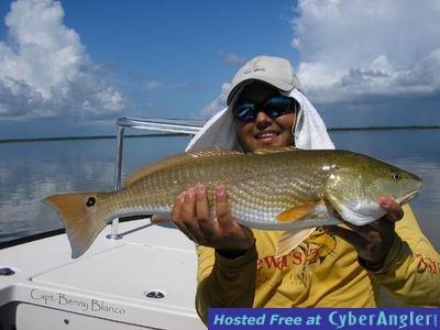 Click to Enlarge Photo