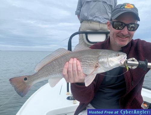 Click to Enlarge Photo