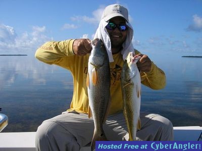 Click to Enlarge Photo