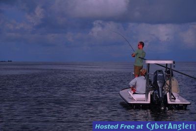 Click to Enlarge Photo