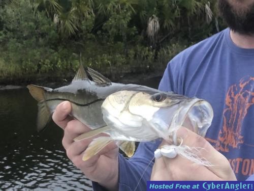 Click to Enlarge Photo