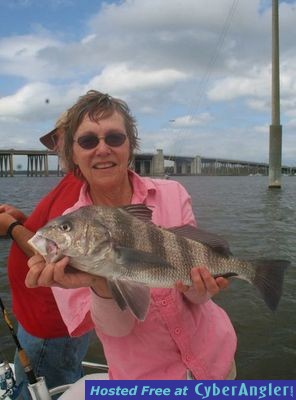 Click to Enlarge Photo