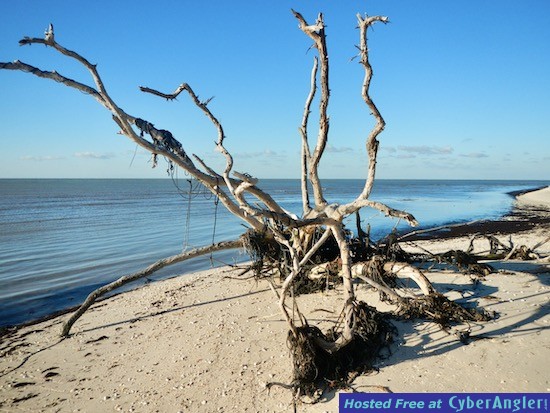 Click to Enlarge Photo