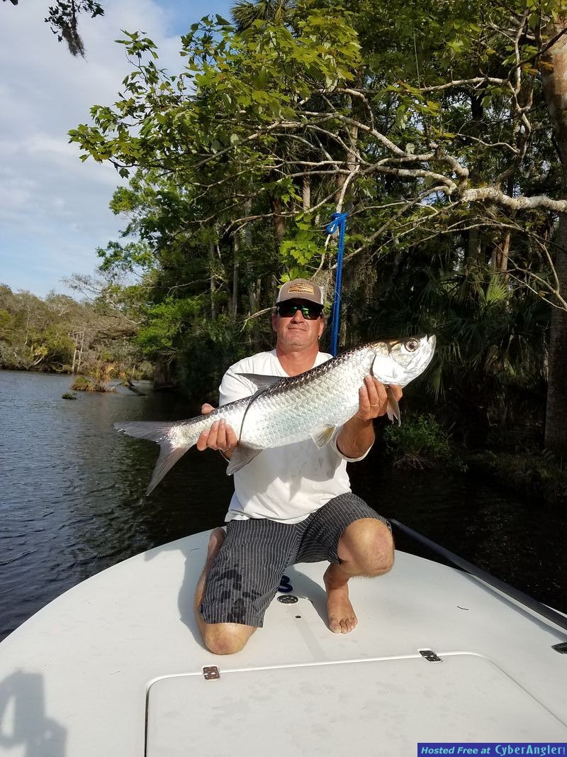 spruce creek