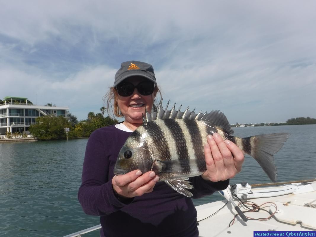 Click to Enlarge Photo