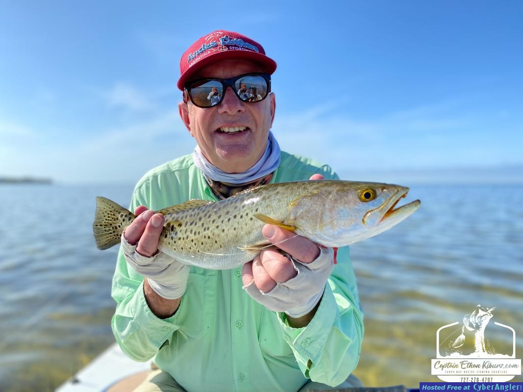 Fly_Fishing_Spotted_Sea_Trout_Clearwater__1_of_1_