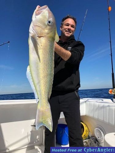 Click to Enlarge Photo