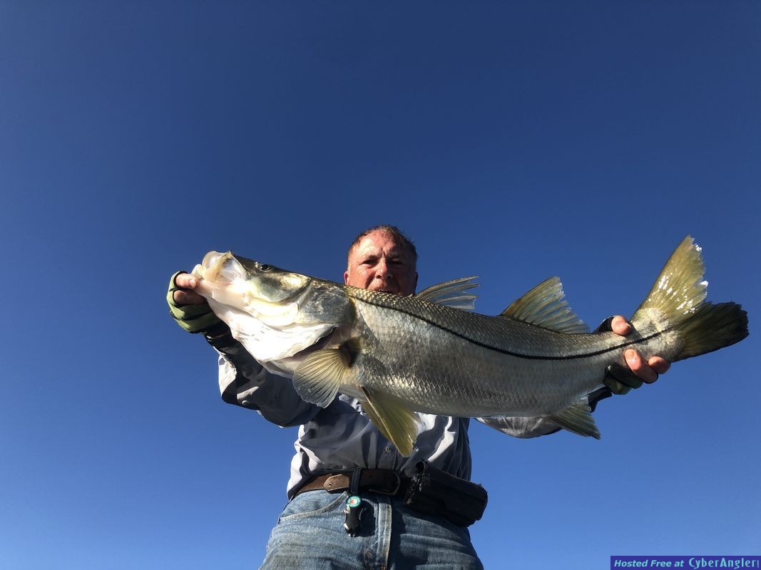 Click to Enlarge Photo