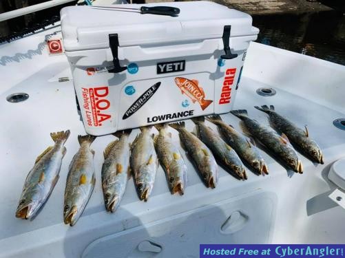Fishing_Reports_Florida_Gulf_Crystal_River_Homosassa_Yankeetown_Ozello