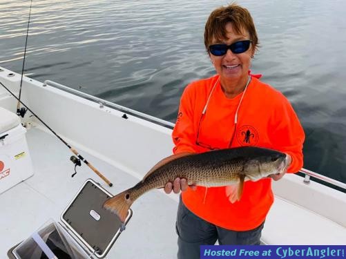 Crystal_River_Offshore_Fishing_Report_Florida_Inshore_Cedar_Key_Ozello_Homo