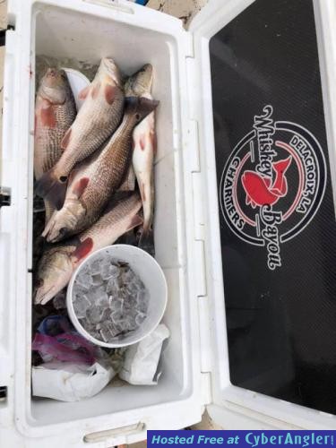 Whiskey_Bayou_Charters___Fishing_Report___Fishing_in_the_High_Winds__Low_Te