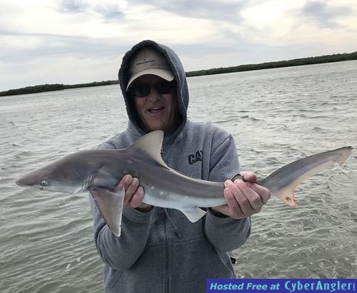 Click to Enlarge Photo