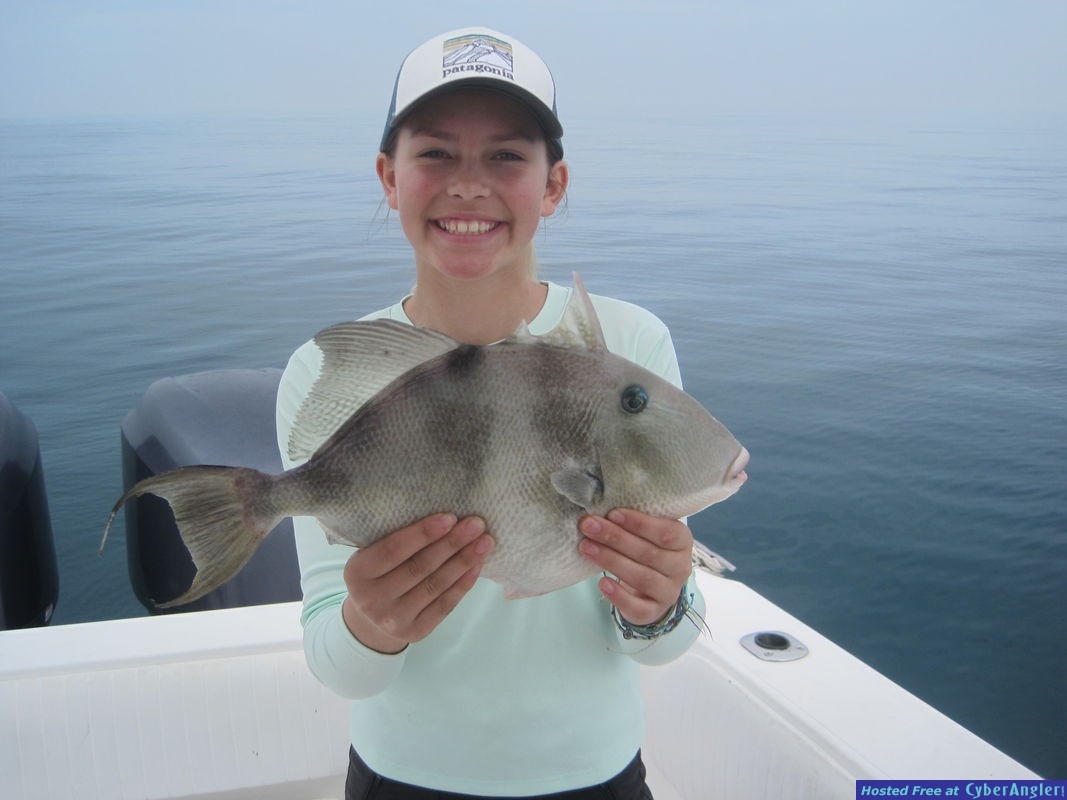 16-inch triggerfish