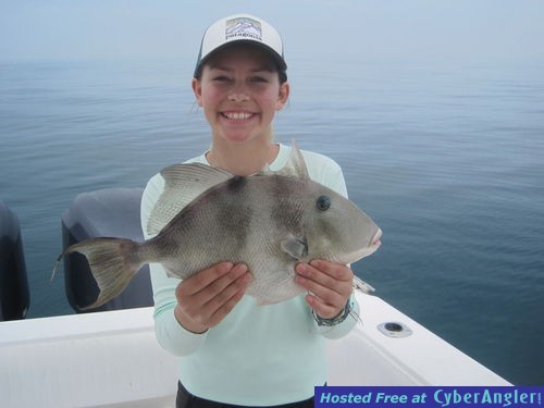 16-inch triggerfish