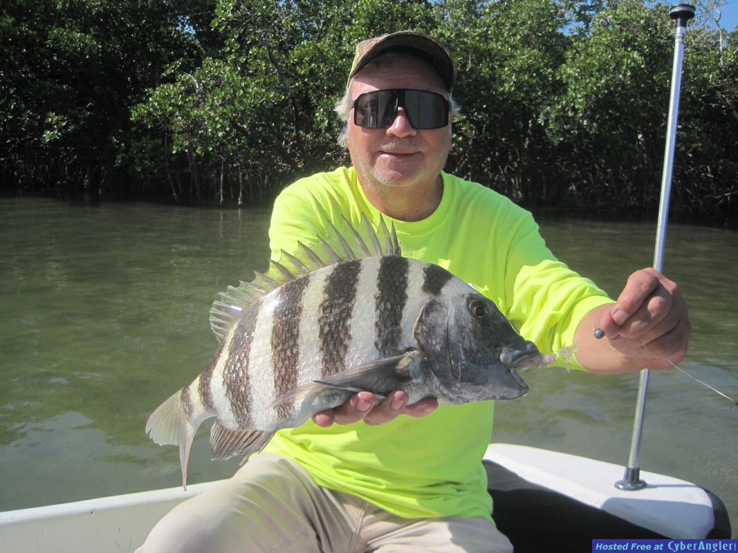19-inch sheepshead