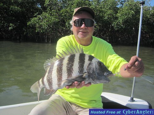 19-inch sheepshead