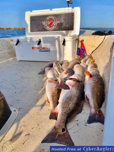 Whiskey_Bayou_Charters___Fishing_Report___Chasing_Redfish_Around_the_Marsh_