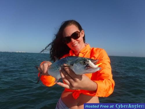 Click to Enlarge Photo