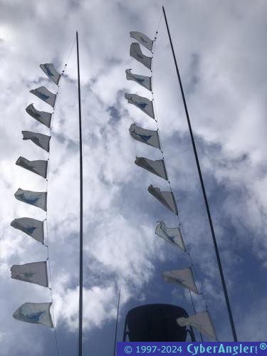 Click to Enlarge Photo