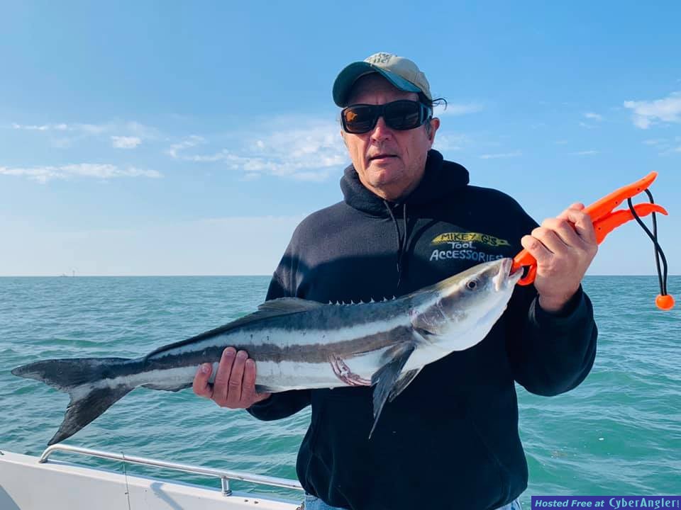 Crystal_River_Cobia_Fishing_Charters