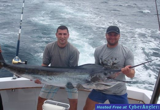 Striped Marlin photo