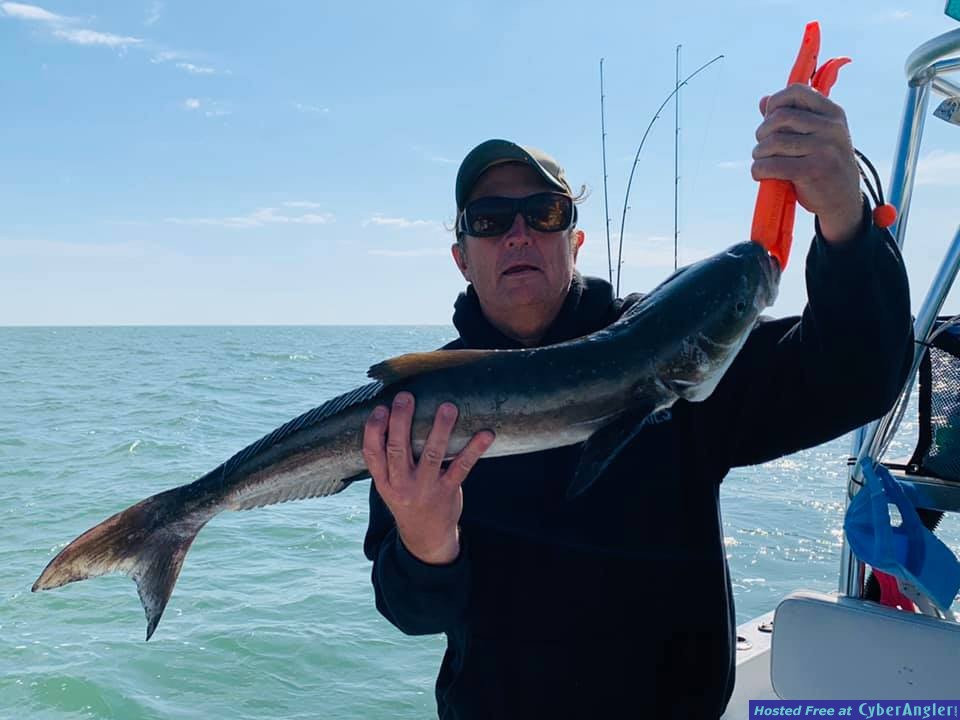 Florida_Cobia_Fishing_Reports