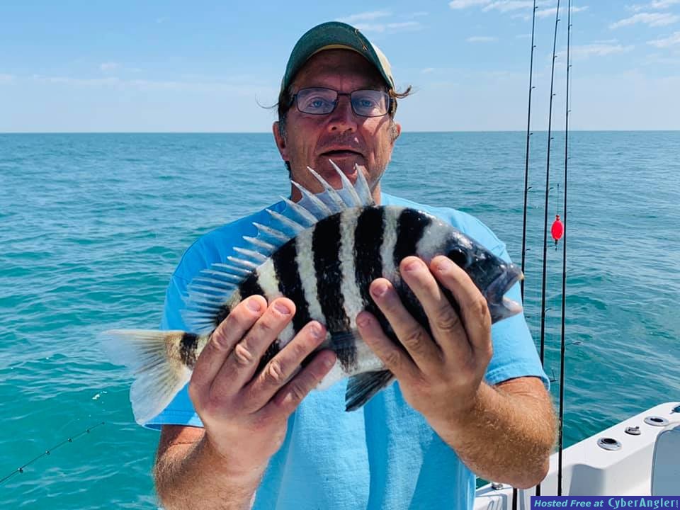 Florida_Sheepshead_Fishing_Reports