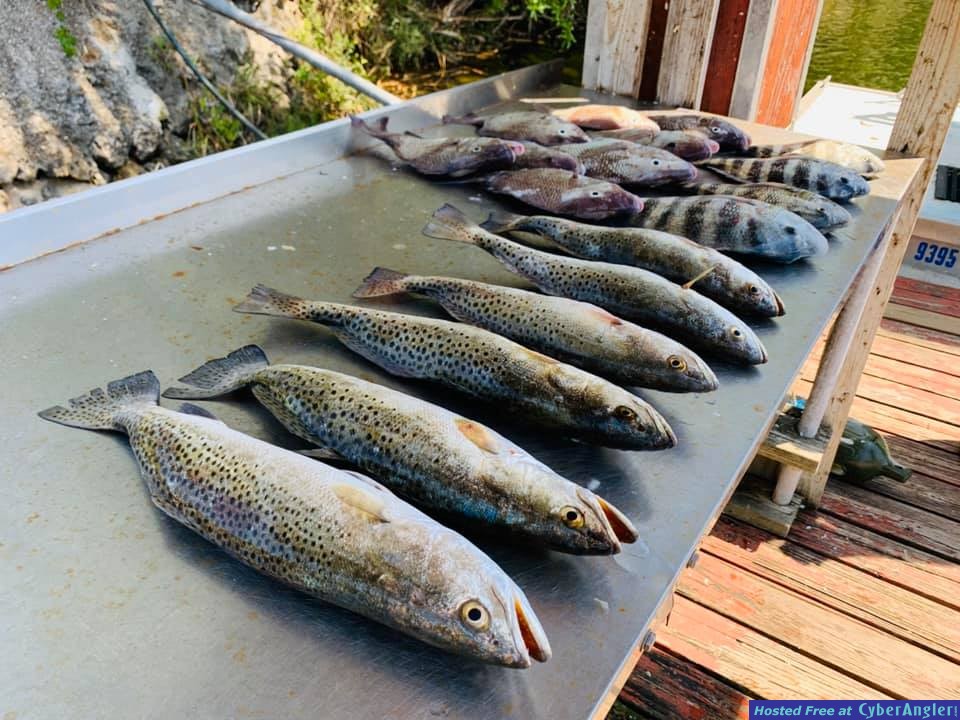 Fishing_Reports_Crystal_River