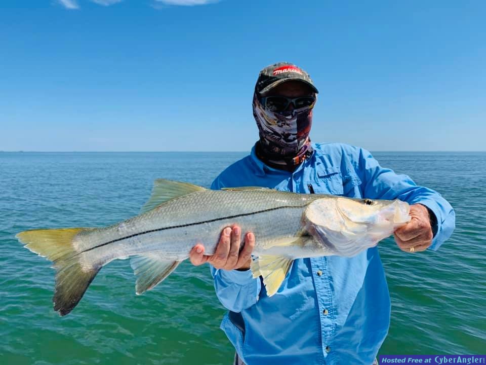 Crystal_River_Florida_Snook_Fishing_Charters
