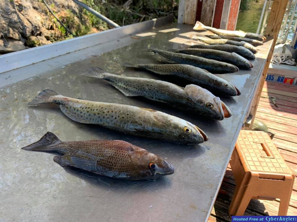 Homosassa_Fishing_Report