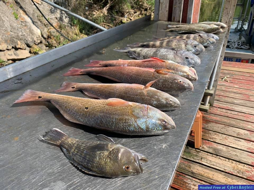 Crystal_River_Offshore_Fishing